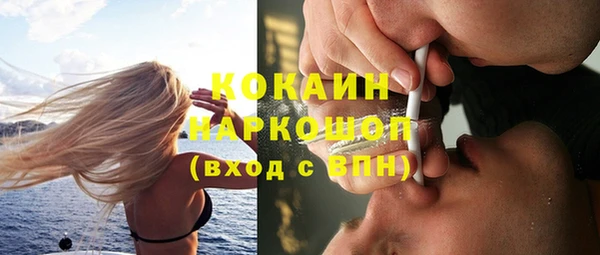 сатива Пролетарск