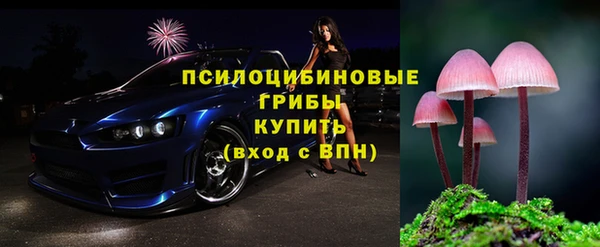 сатива Пролетарск